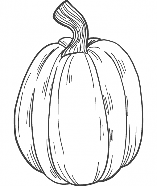 Pumpkin coloring page image