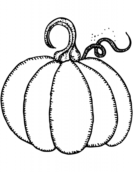 Pumpkin coloring page image