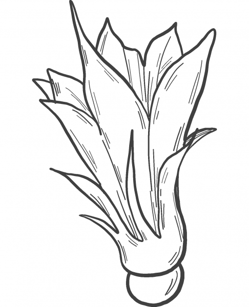 Pumpkin Flower coloring page image