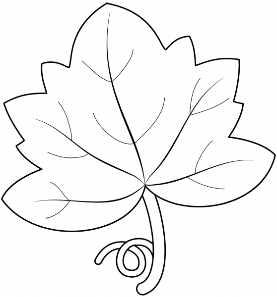 Pumpkin Leaf coloring page image