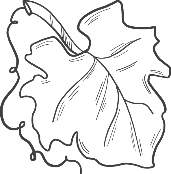 Pumpkin Leaf coloring page image