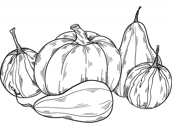 Pumpkin Patch coloring page image