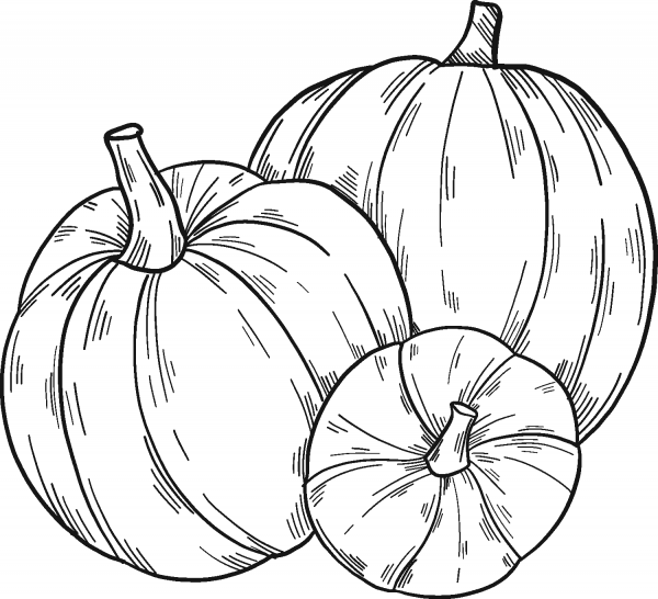 Pumpkin Patch coloring page image