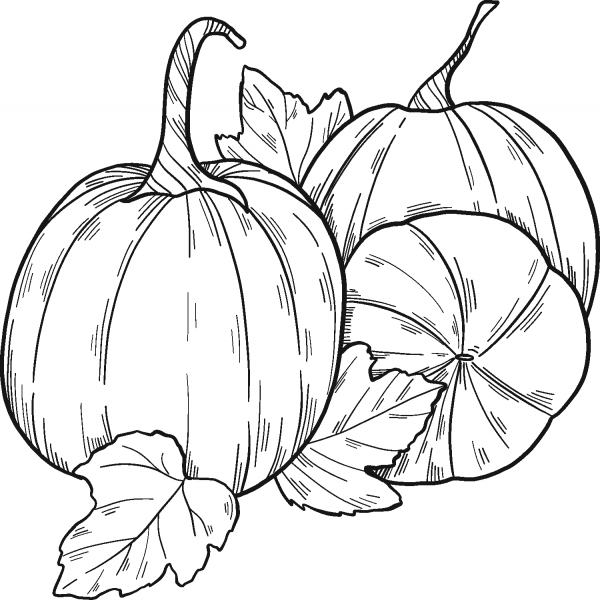 Pumpkin Patch coloring page image