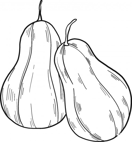 Pumpkin Patch coloring page image