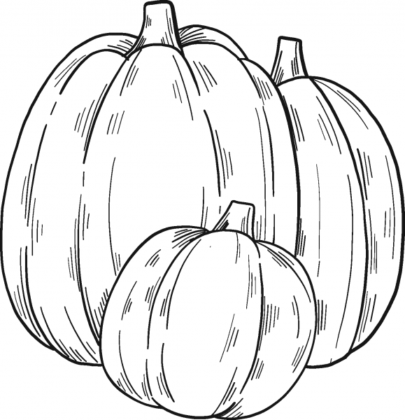 Pumpkin Patch coloring page image