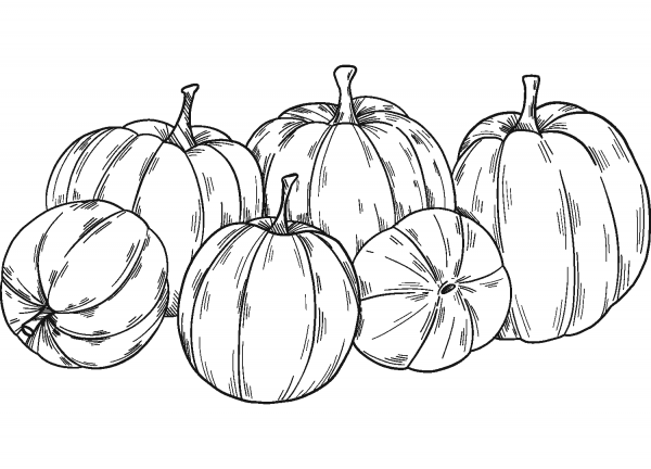 Pumpkin Patch coloring page image
