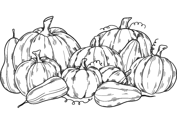 Pumpkin Patch coloring page image