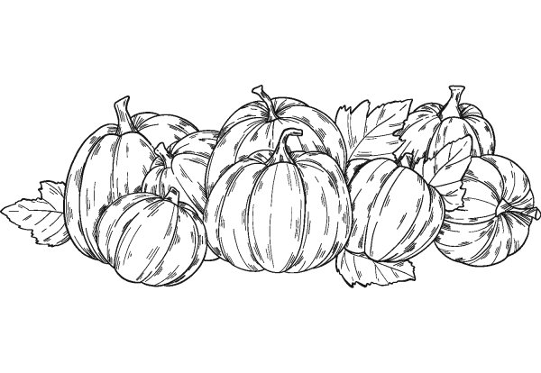 Pumpkin Patch coloring page image