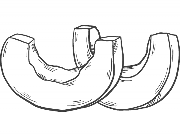 Pumpkin Sclices coloring page image