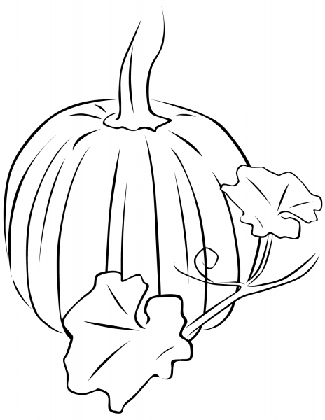 Pumpkin with Leaves coloring page image