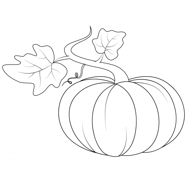 Pumpkin with Leaves coloring page image