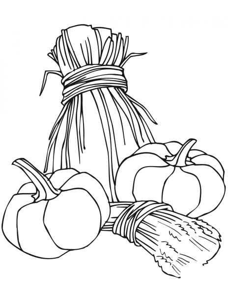 Pumpkins and Wheat Sheaves coloring page image