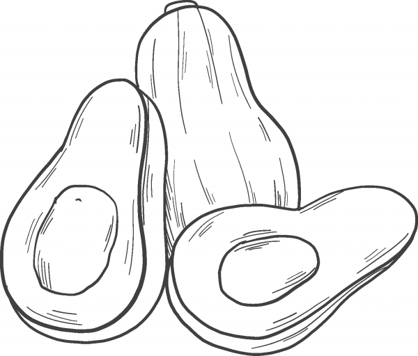 Pumpkins  coloring page image