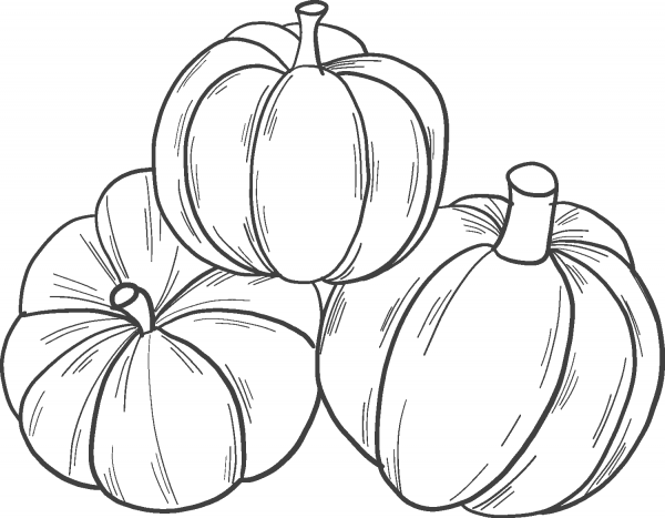 Pumpkins coloring page image