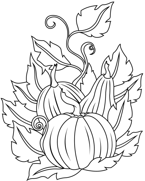 Pumpkins coloring page image