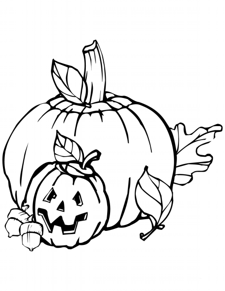 Pumpkins coloring page image