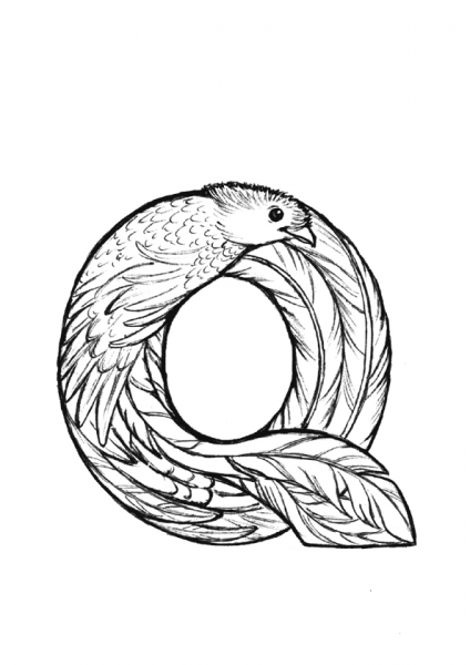 Q is for Quetzal coloring page image