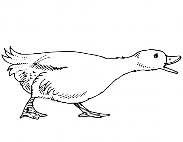 Quacking Goose coloring page image