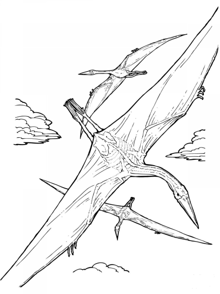 Quetzalcoatlus Pterosaur coloring page image