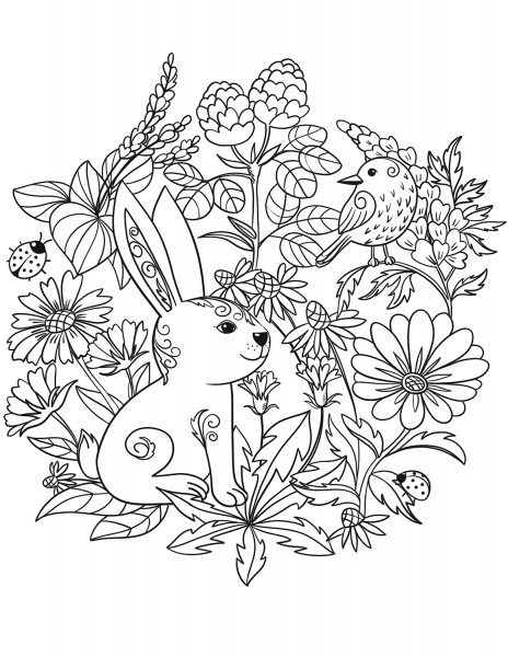 Rabbit and Bird coloring page image