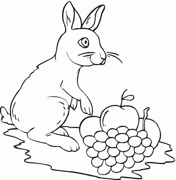 Rabbit and Grape  coloring page image