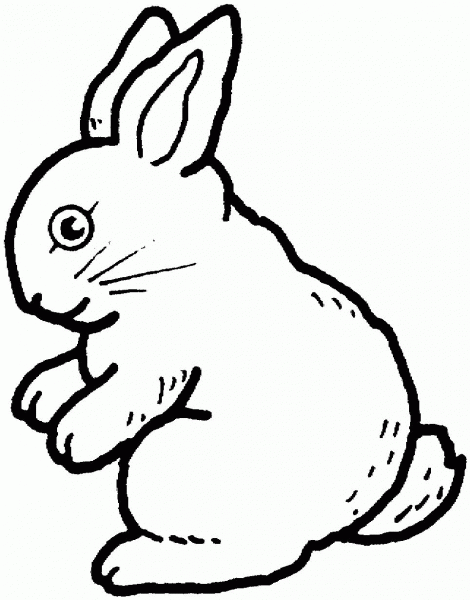 Rabbit coloring page image