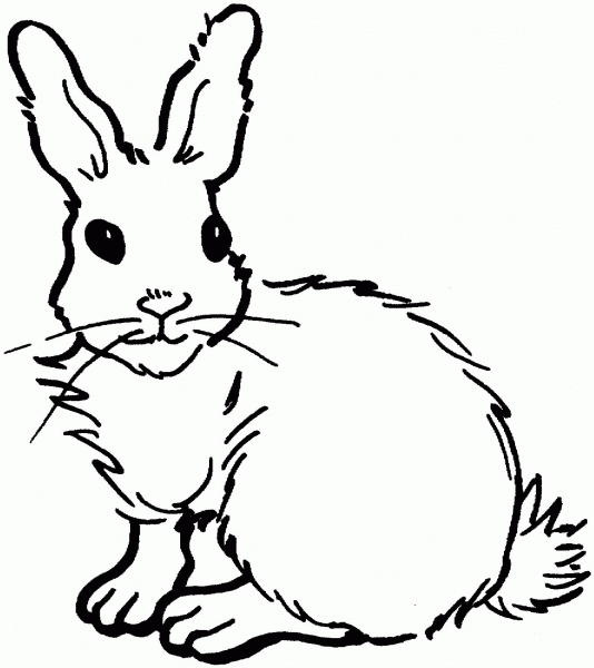 Rabbit coloring page image