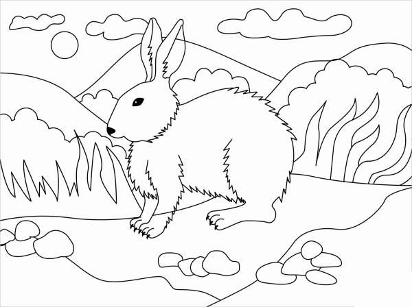 Rabbit coloring page image