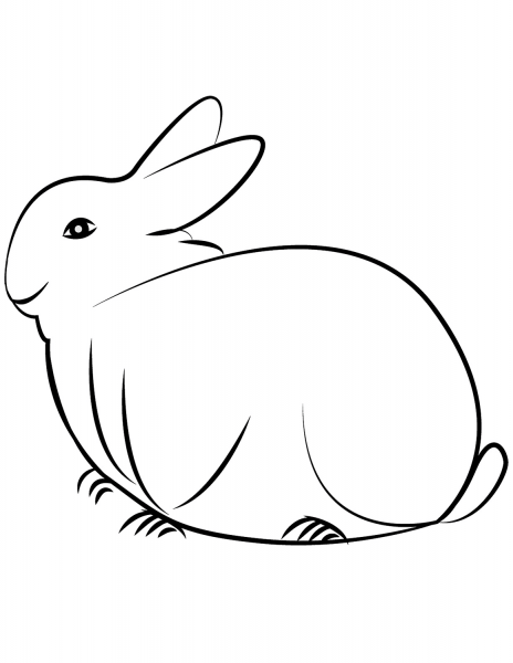 Rabbit coloring page image