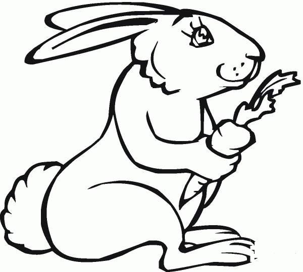 Rabbit Holds a Carrot in its Hand coloring page image