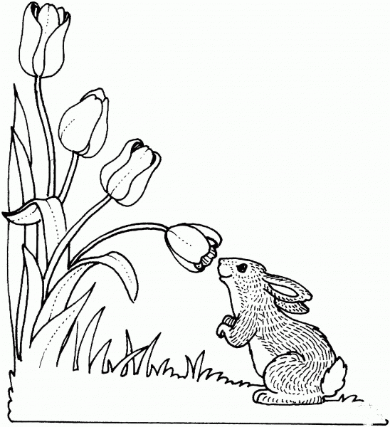 Rabbit Smelling Tulip coloring page image
