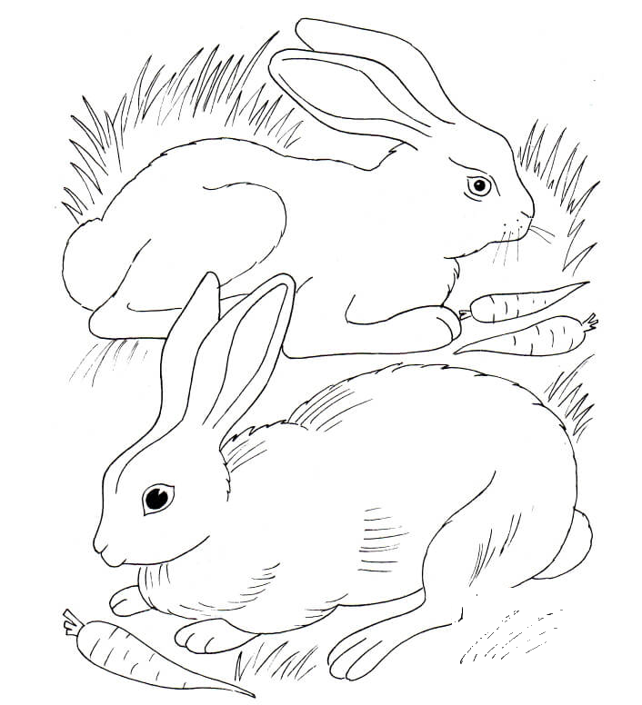 Rabbits Eating Carrots coloring page - ColouringPages