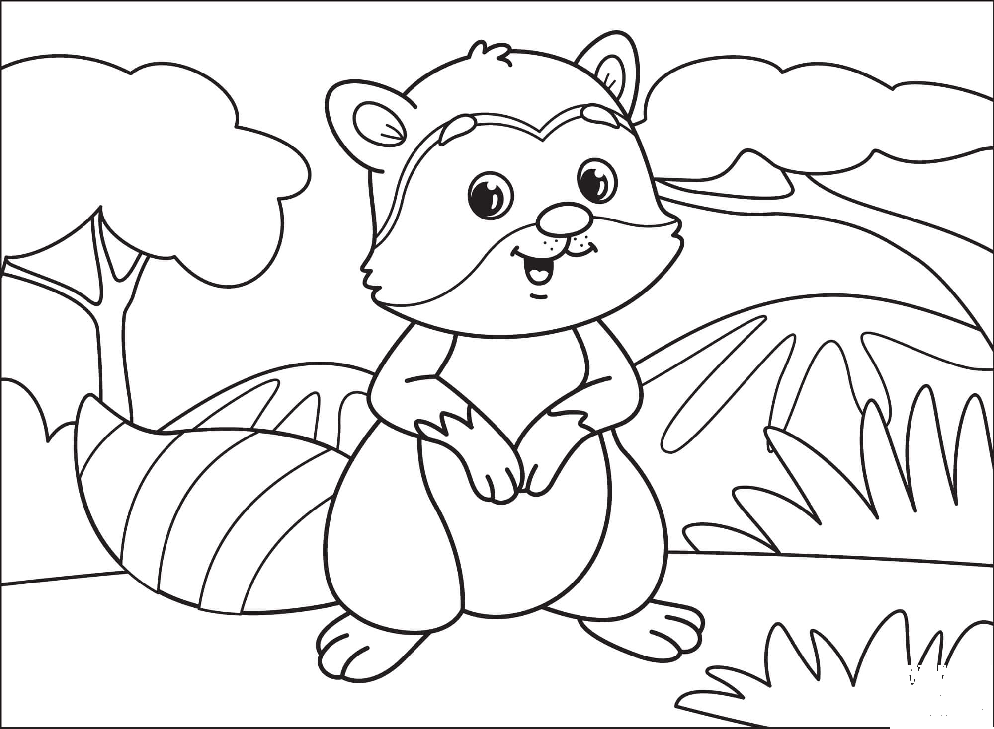 Raccoon coloring page - ColouringPages