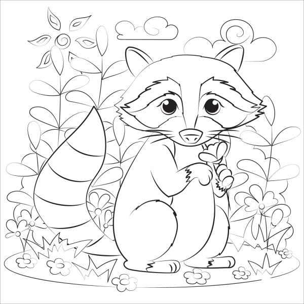 Raccoon coloring page image