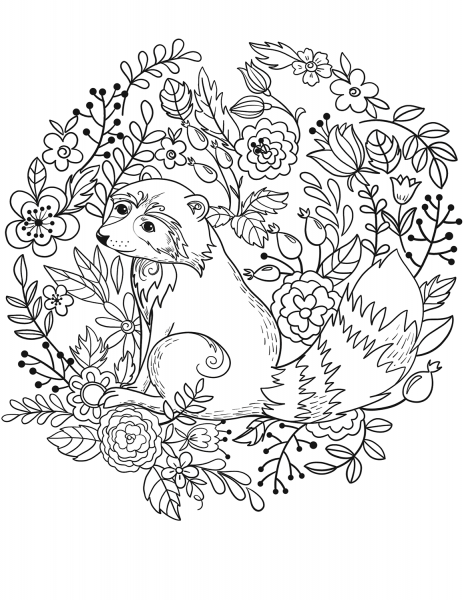 Raccoon coloring page image
