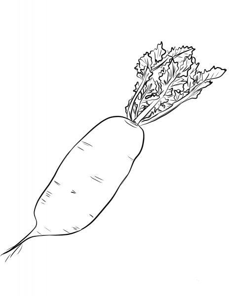Radish coloring page image