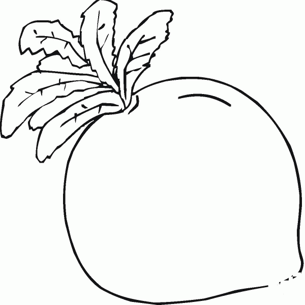 Radish coloring page image