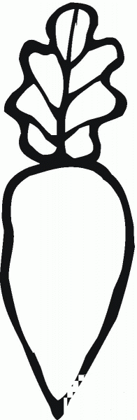 Radish coloring page image