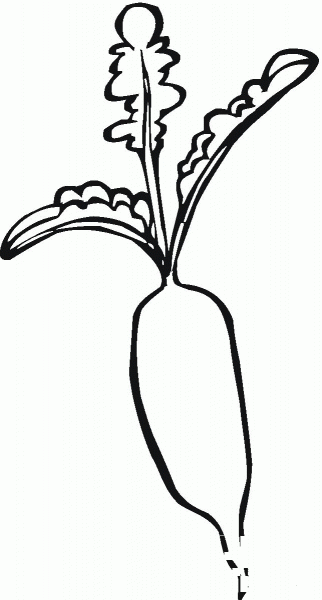 Radish coloring page image