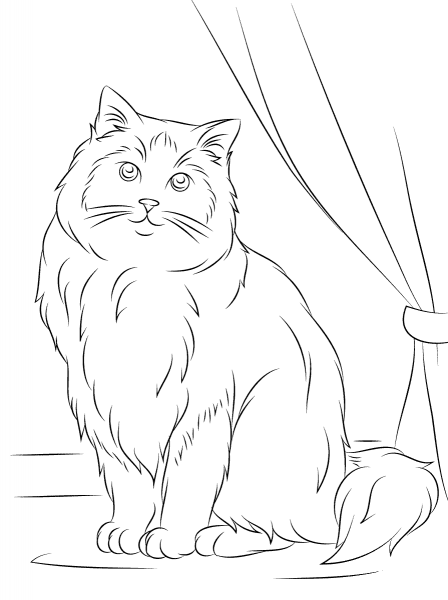 Ragdoll Cat coloring page image