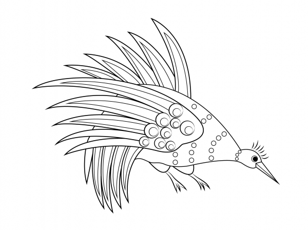 Rainbow Bowerbird Aboriginal Art coloring page image
