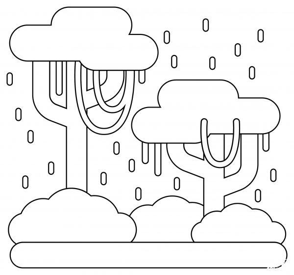 Rainforest coloring page image