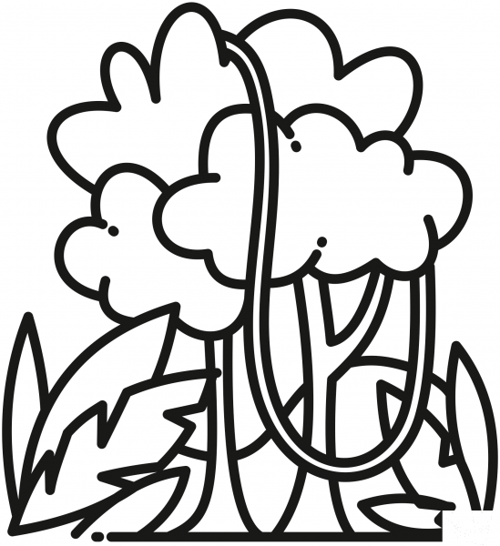Rainforest coloring page image