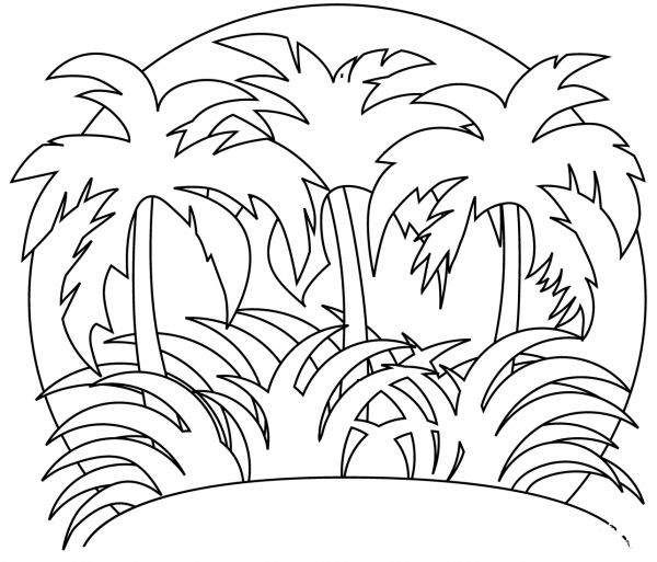 Rainforest coloring page image
