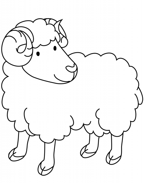 Ram coloring page image