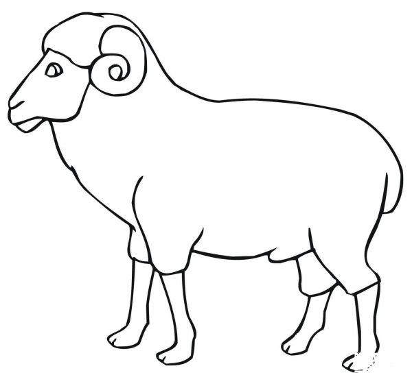Ram Outline coloring page image