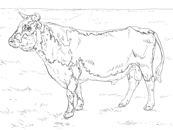 Randall Bull coloring page image