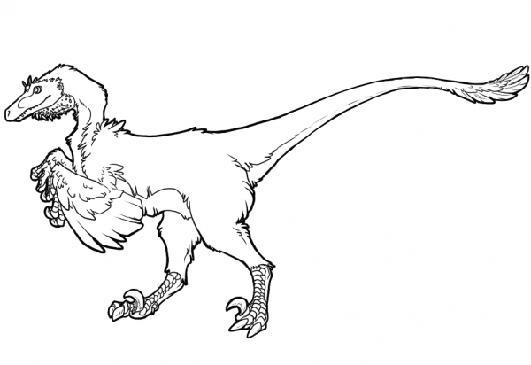 Raptor Dinosaur coloring page image