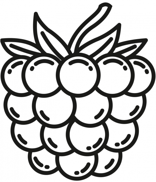 Raspberry coloring page image